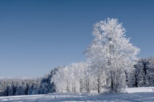 冬の雪遊びに必要な持ち物は子供に何がある？