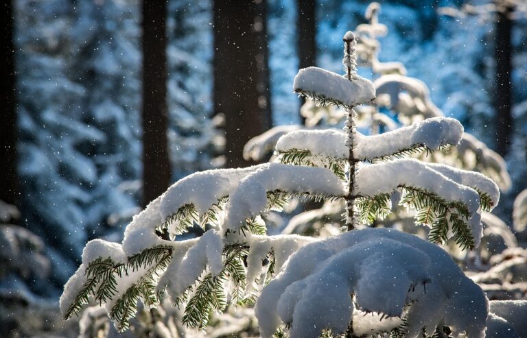 雪遊びに最適なグッズは100均で手に入る？