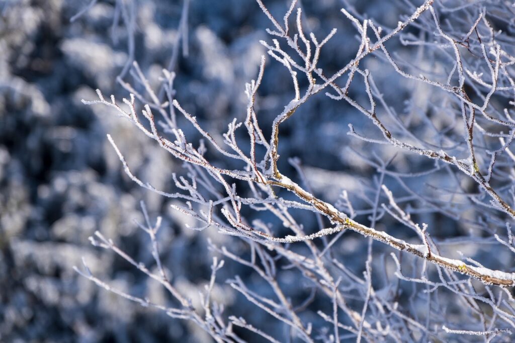 雪遊びを安全に楽しむためのケガ防止グッズは？