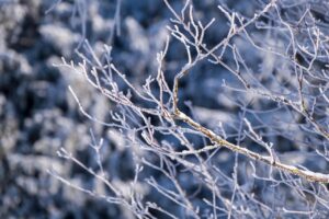 雪遊びを安全に楽しむためのケガ防止グッズは？