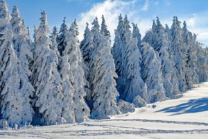 雪遊びを楽しむために子供が用意するものは？