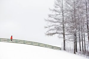 雪遊びを楽しむ子供のための防寒対策は？