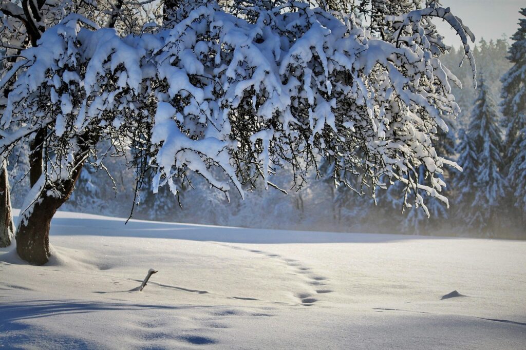雪遊びに最適な幼児の中間着おすすめは？
