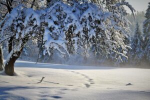 雪遊びに最適な幼児の中間着おすすめは？