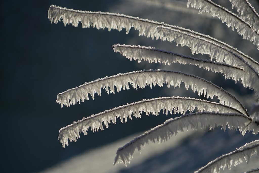 雪遊びに最適な幼児用レギンスの選び方は？