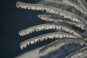 雪遊びに最適な幼児用レギンスの選び方は？