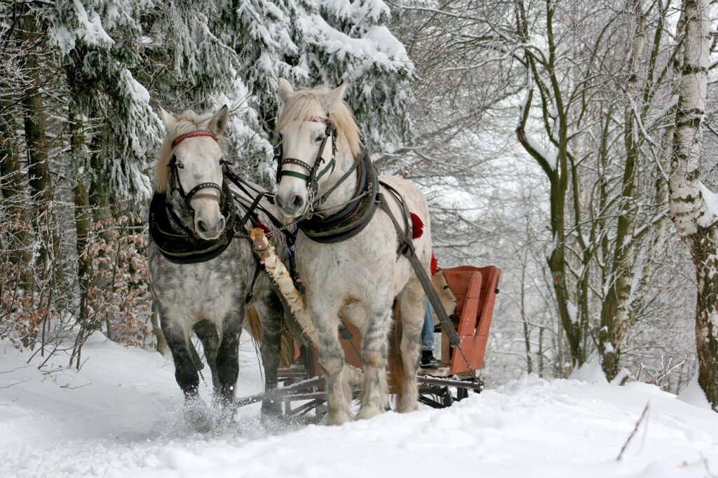 雪遊びで子どもが楽しむためのそりの選び方は？