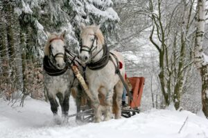 雪遊びで子どもが楽しむためのそりの選び方は？