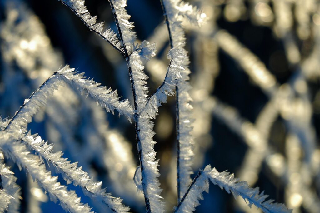 雪遊びを楽しむ子どもが風邪を予防するための持ち物は？