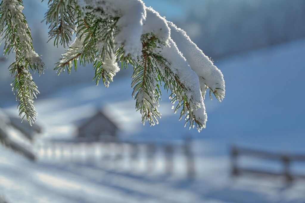 雪遊びを楽しむ子どもにおすすめのしもやけ予防方法は？