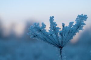 雪遊びを楽しむ子どもを守る凍傷予防の方法は？