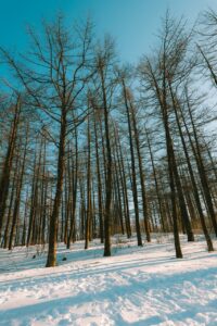 雪遊びに必要な持ち物は子どもに対して何個必要ですか？