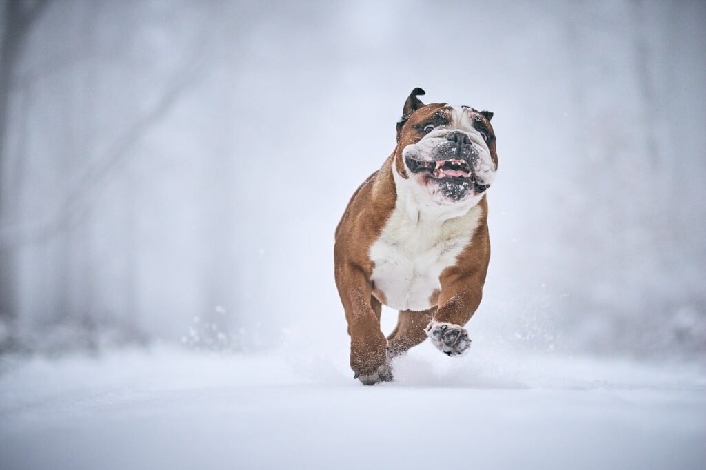 雪遊びで子どもが楽しむための防寒と安全を両立する方法は？
