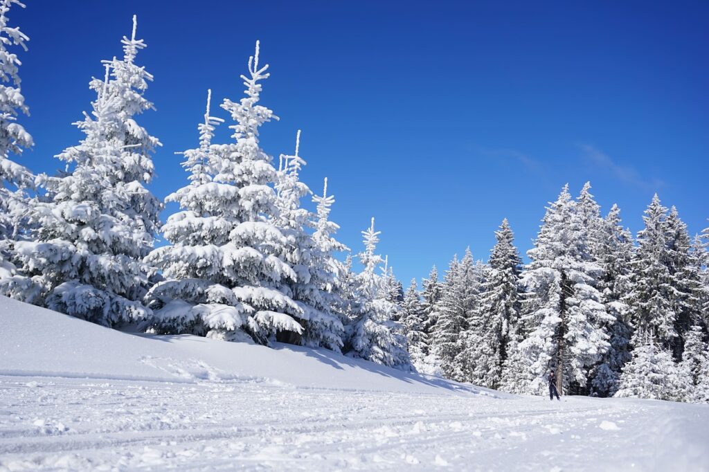 雪遊びを楽しむ子どもに防寒しすぎるときの注意点は？
