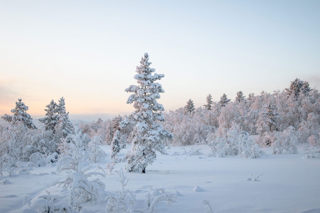 雪遊びで子どもが風邪を予防するためのポイントは？