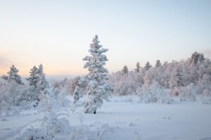 雪遊びで子どもが風邪を予防するためのポイントは？