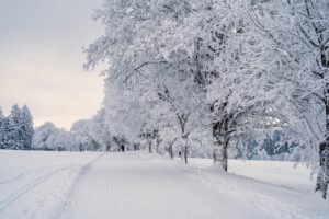雪遊びを子どもと楽しむ前にすることは？