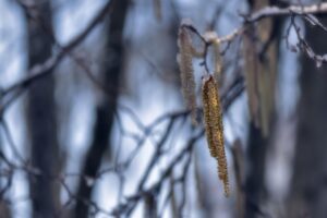 雪遊びを楽しむために子どものアレルギー対策に必要な持ち物は？