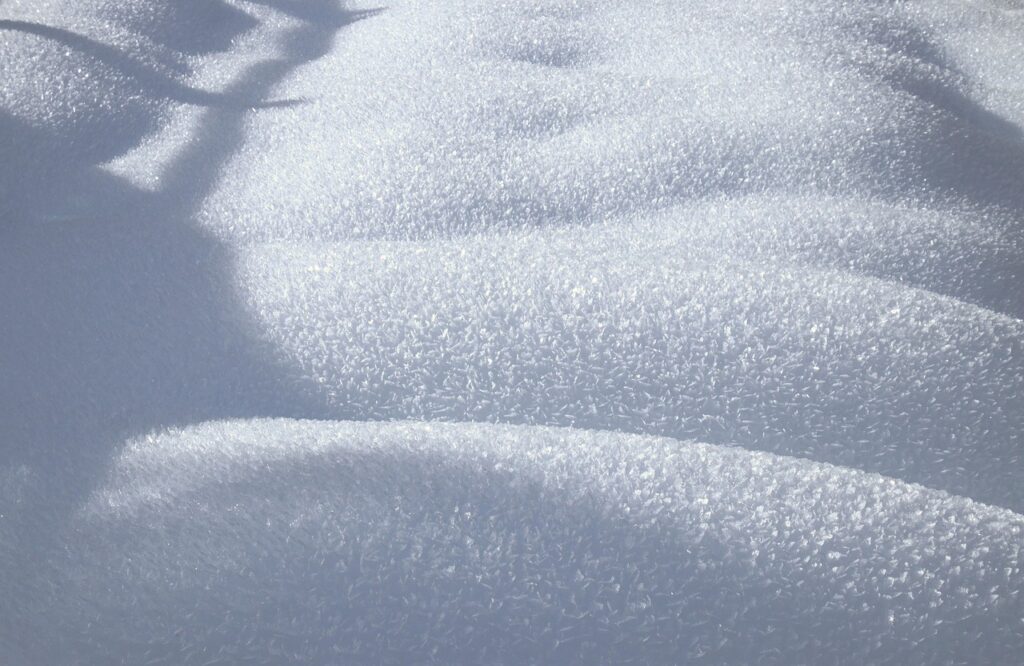 雪遊びを楽しむ兄弟連れのための必携持ち物は？