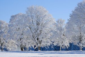 雪遊びを楽しむ姉妹連れに必要な持ち物は？
