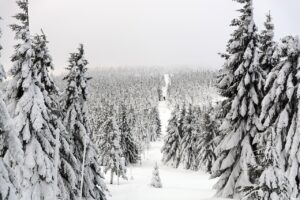 雪遊びに行く前に知っておきたい必要な持ち物は？