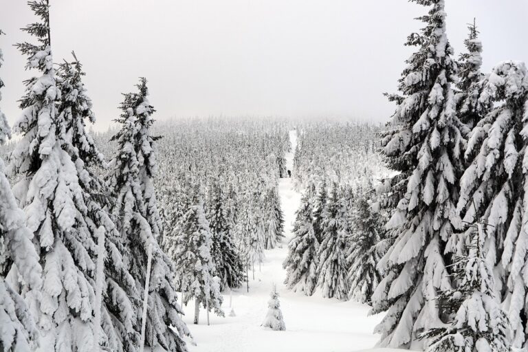 雪遊びに行く前に知っておきたい必要な持ち物は？