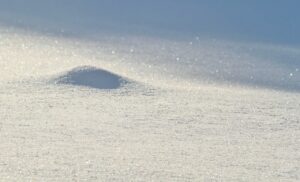 雪遊びの安全対策はこれで決まり？