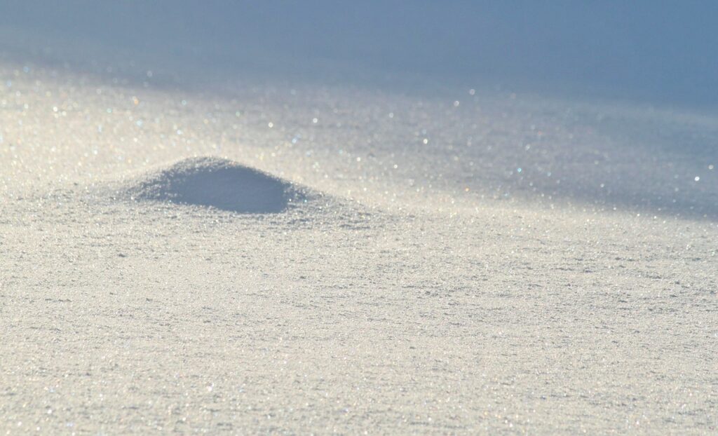雪遊びの料金相場はどれくらい？